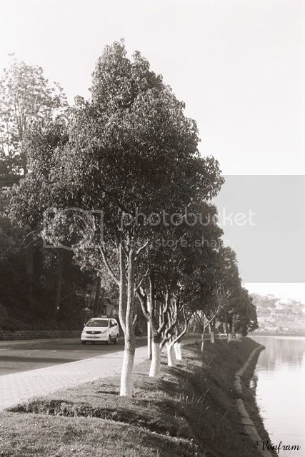 00059-000059.jpg