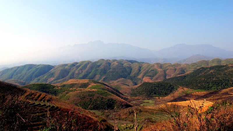 HongNgai2011118.jpg