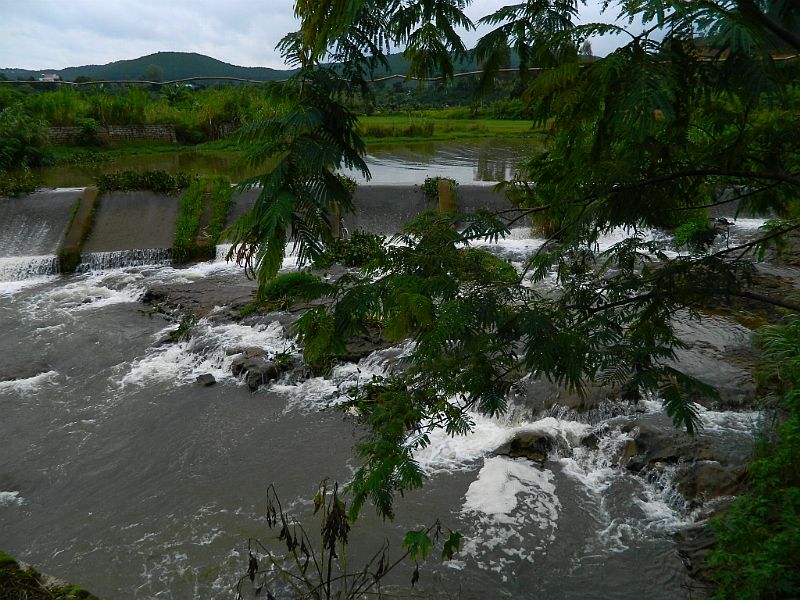 DSCN1721.jpg