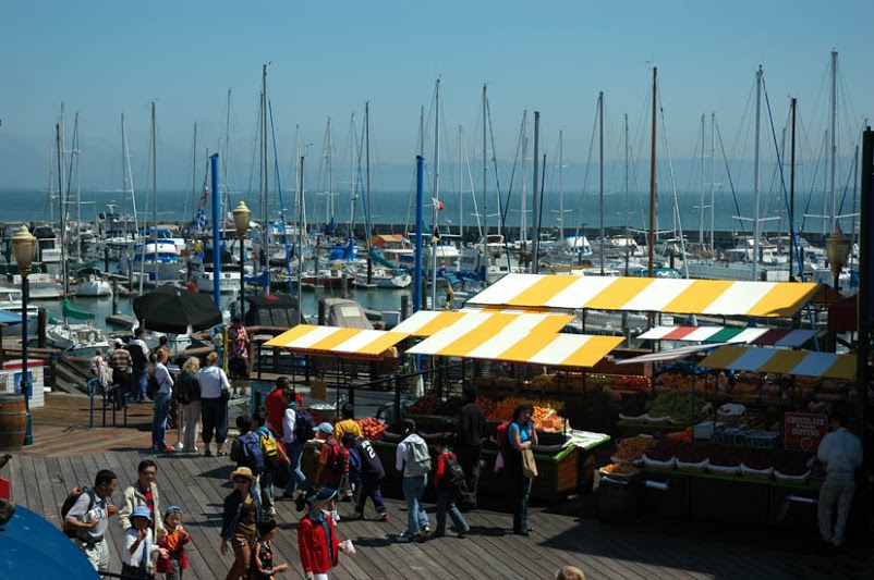SF014.jpg