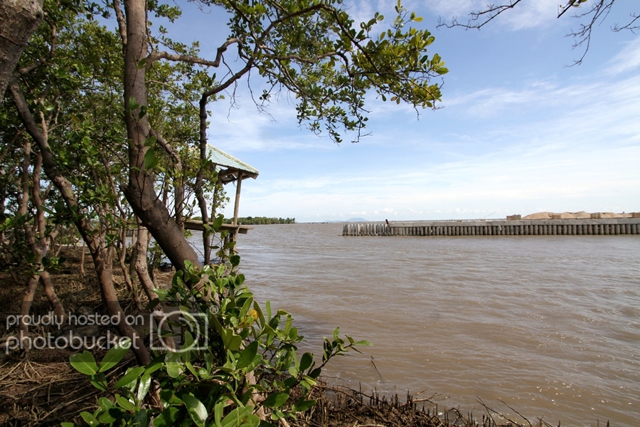 loanchau868.jpg