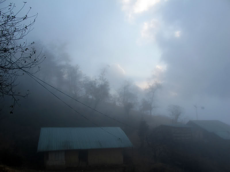 HongNgai2011513.jpg