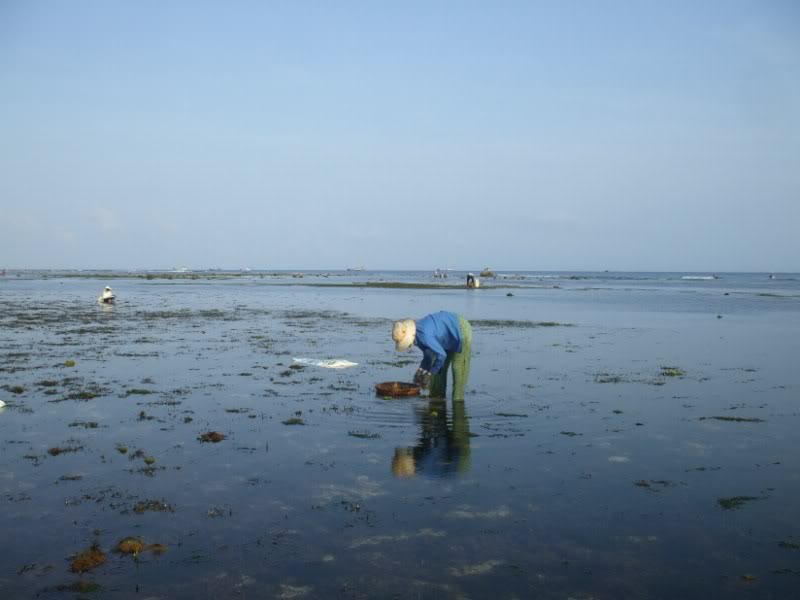 DSCF7086.jpg