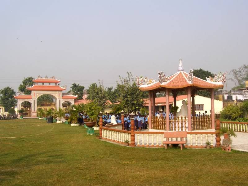PB180884.jpg