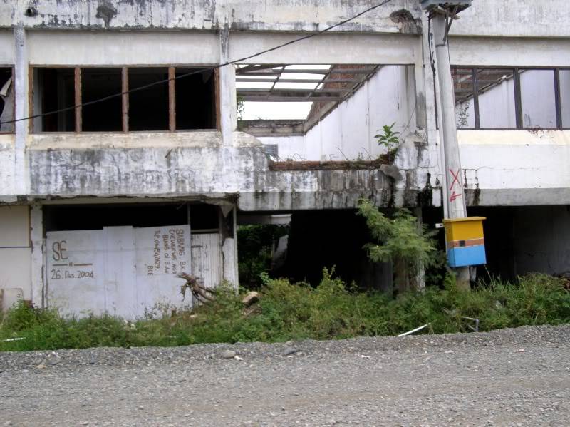 P7200586.jpg