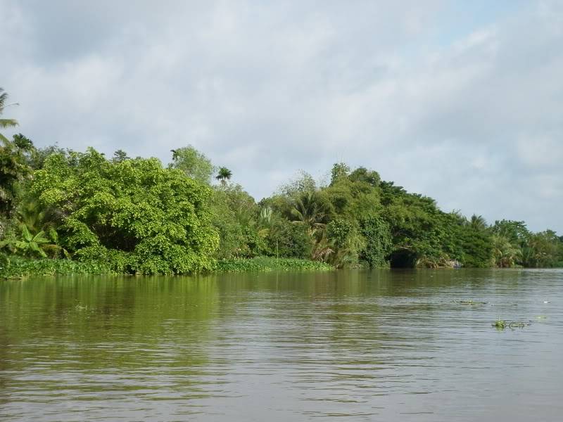 P1000273.jpg