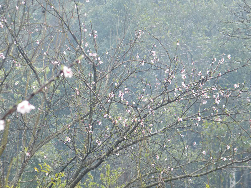 DSCF0415.jpg