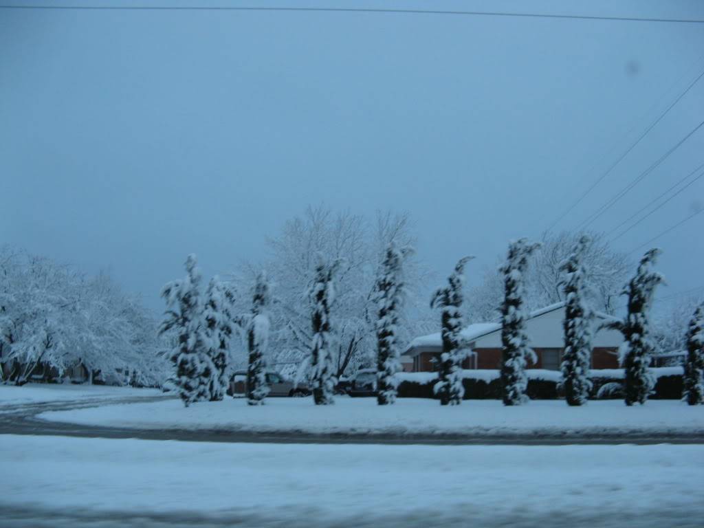 IMG_0062.jpg