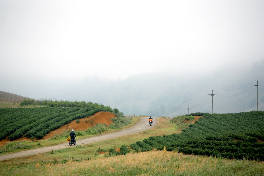 900x600.jpg