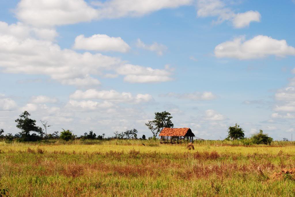 DSC_0251-2.jpg