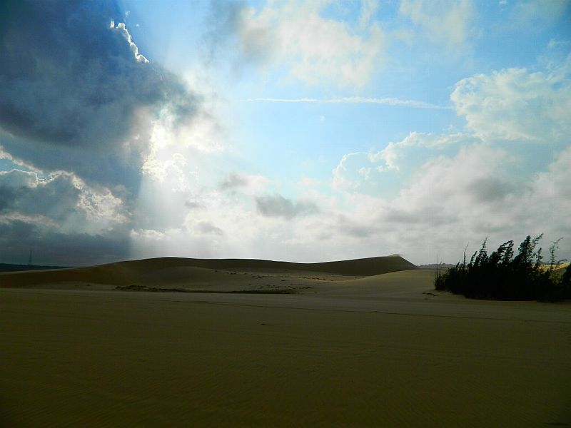 DSCN2020.jpg