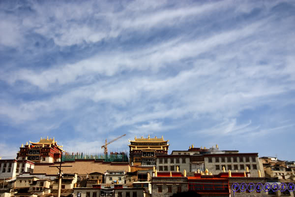 shangri-la109.jpg