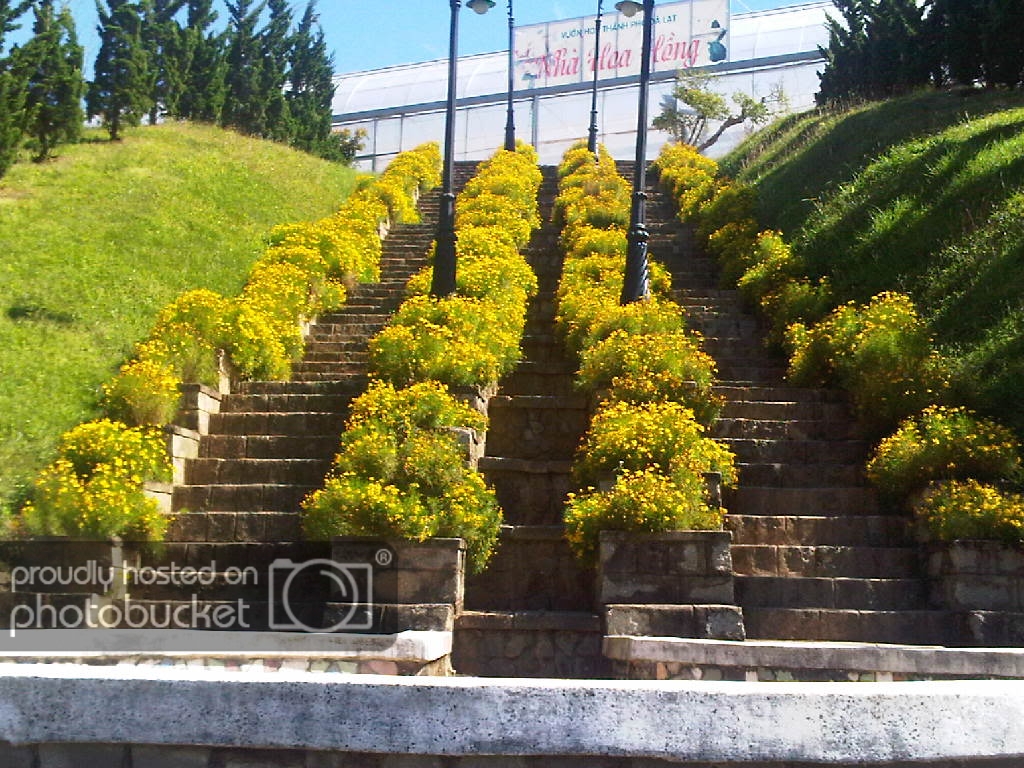 IMG-20111122-00179.jpg