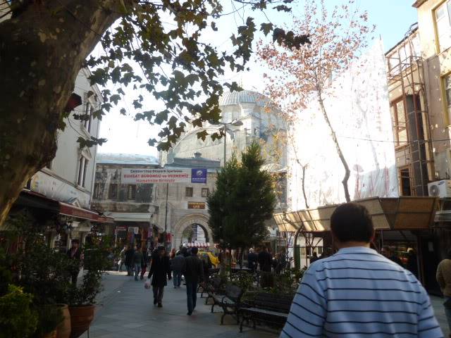 L1020735.jpg