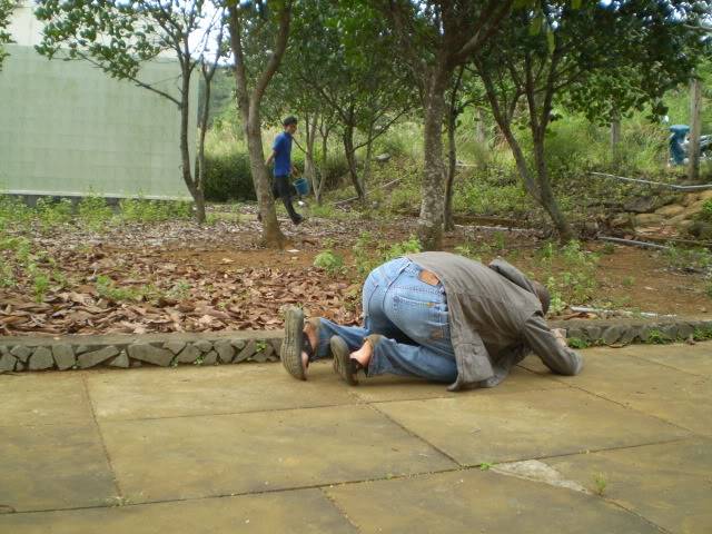 P1010146-1.jpg