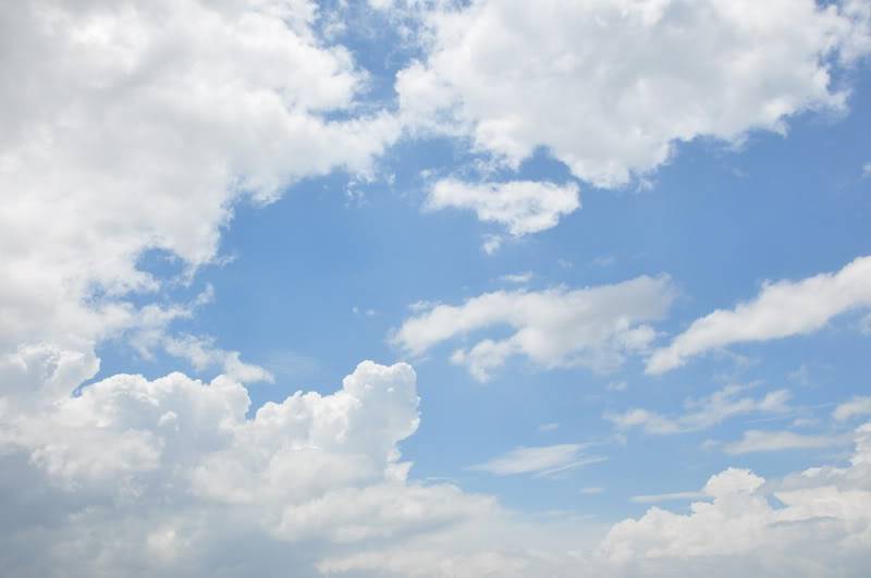 DSC_3818_resize.jpg