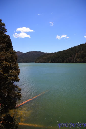 shangri-la251.jpg