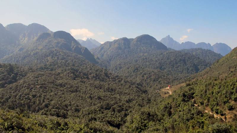 HongNgai2011162.jpg