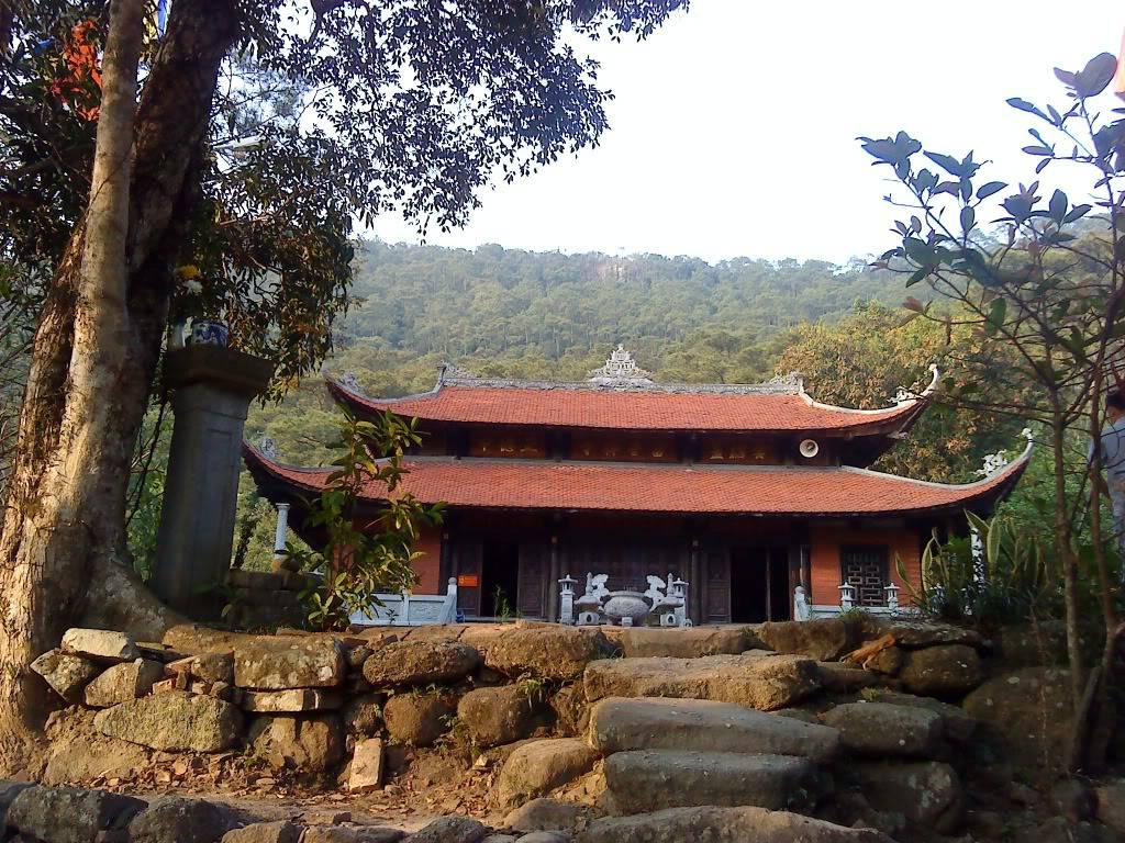 DSC00929.jpg