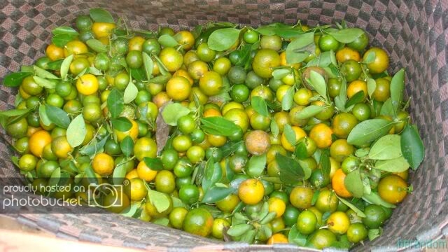DSC08865.jpg