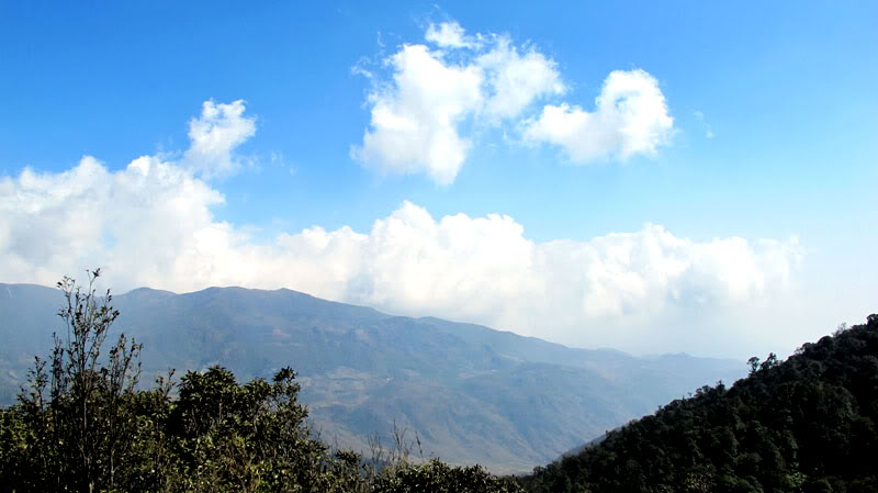 HongNgai2011165.jpg