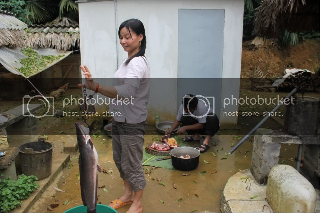 IMG_66531024x768.jpg