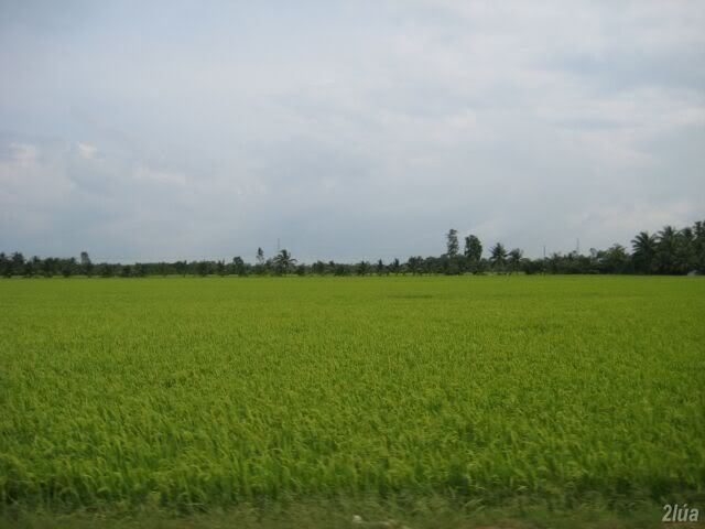 IMG_2289.jpg