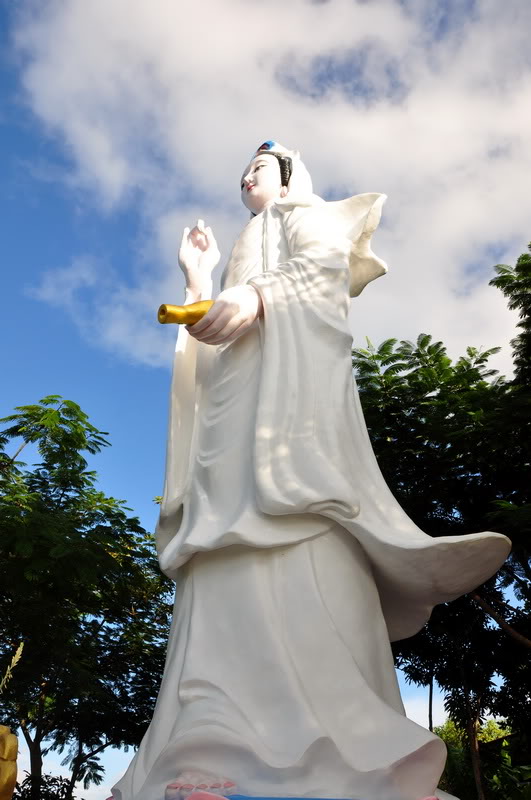 DSC_4294_resize.jpg