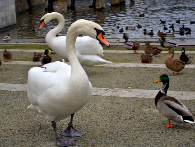 DSC_0417.jpg
