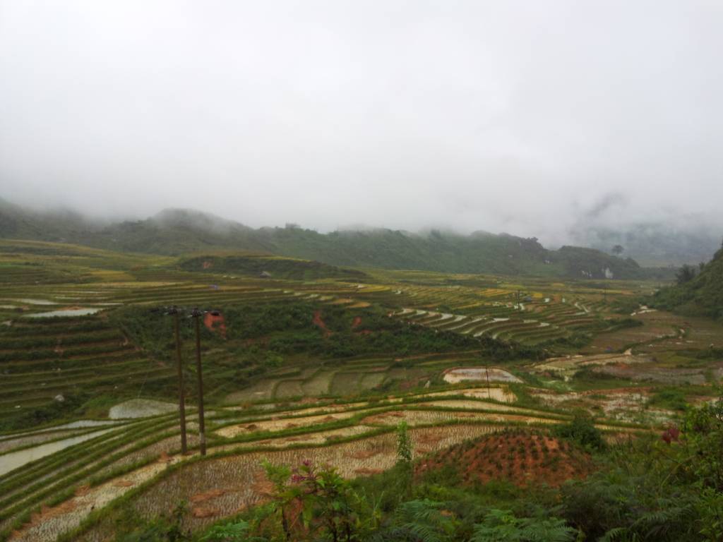 IMG_20120926_092050.jpg