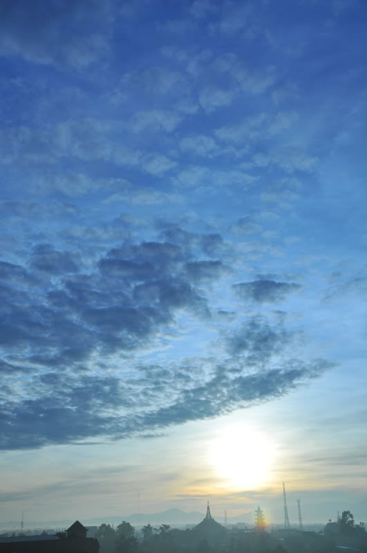 DSC_3263.jpg