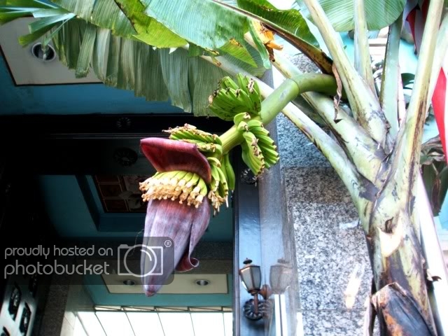 DSCF9335.jpg
