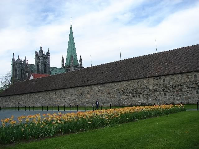 DSC00398.jpg
