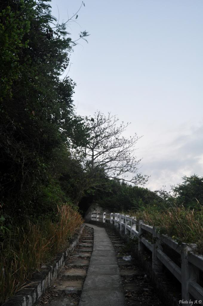 DSC_0327_zpsb536e3ee.jpg