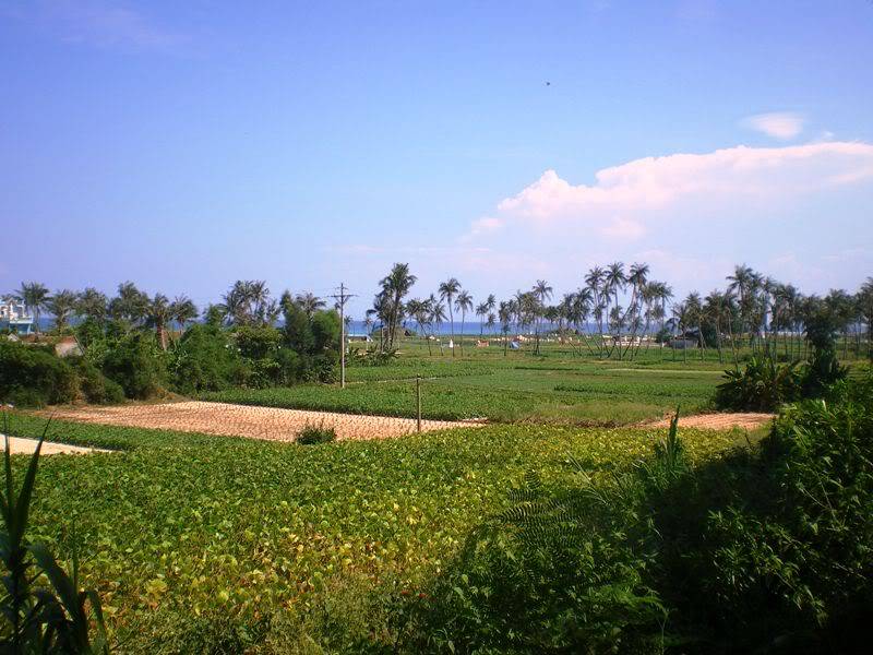 IMGP0116.jpg