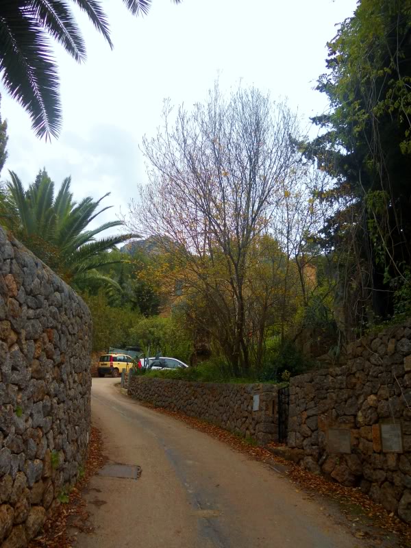 DSCN6253.jpg