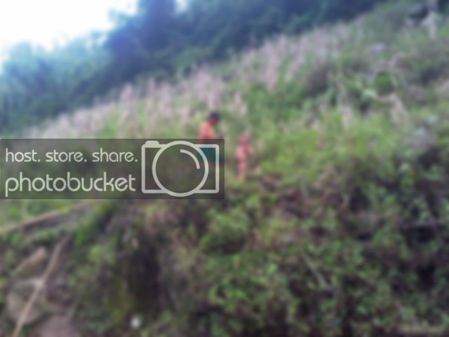 IMG-20121130-00812_zpse6bab94e.jpg