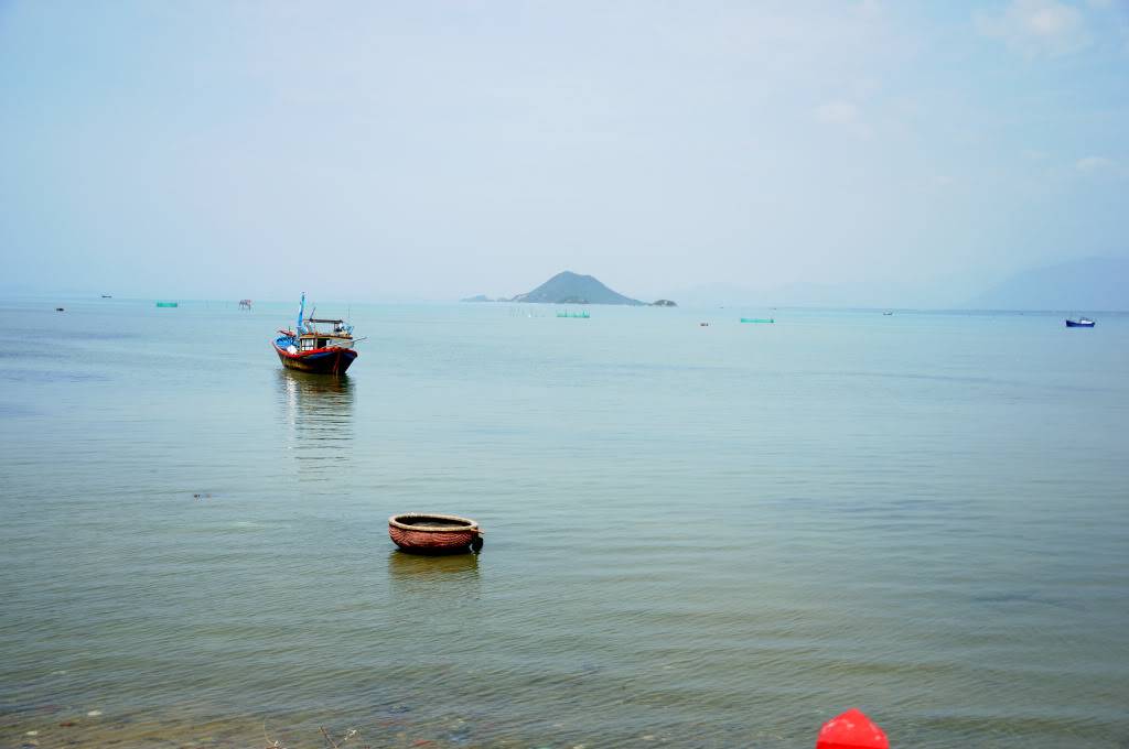 DSC_0137.jpg