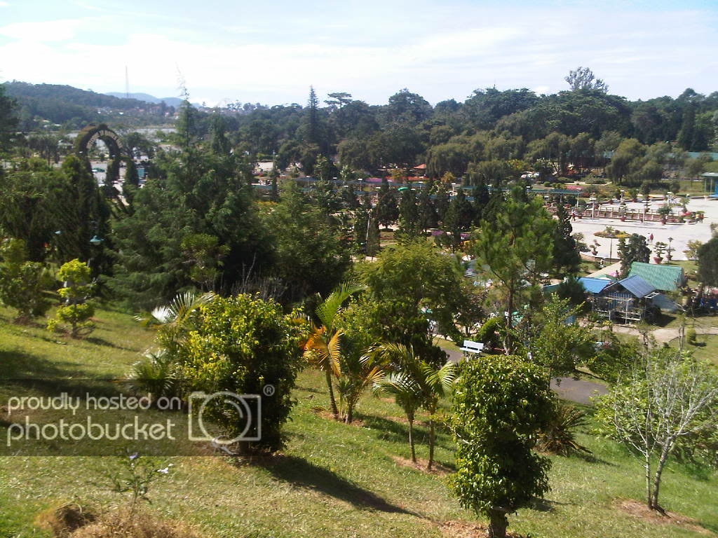 IMG-20111122-00175.jpg