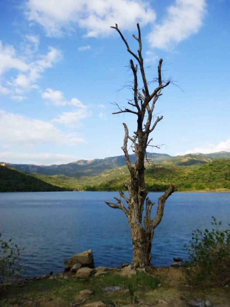 DSC00738-PS.jpg