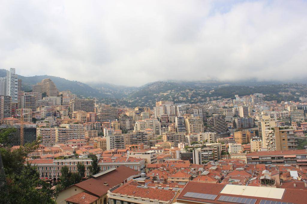 IMG_1942.jpg