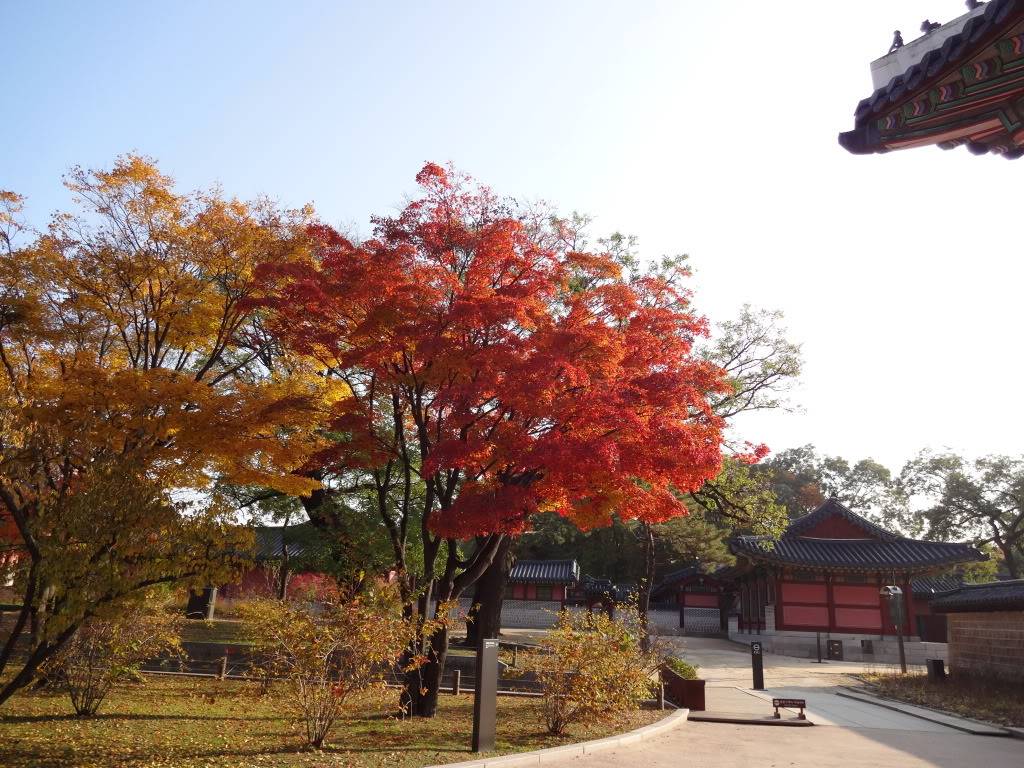DSC00139.jpg