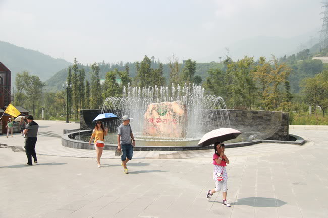 IMG_8817.jpg