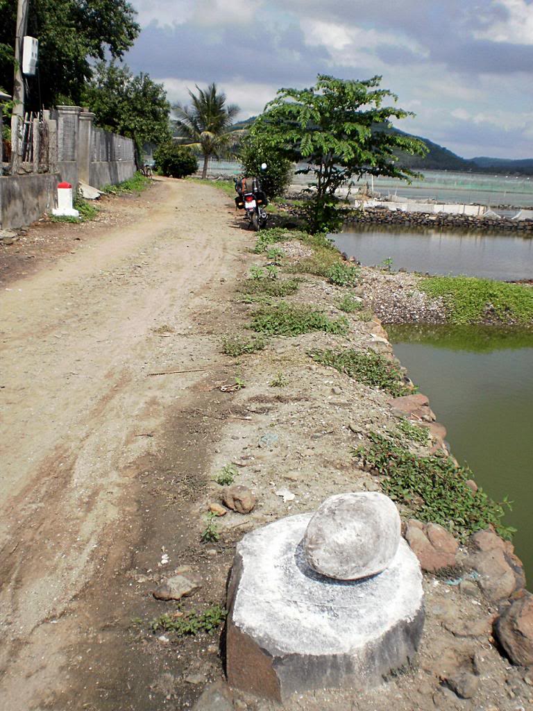 92.jpg