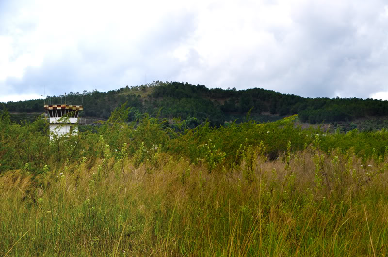 daikhongluu.jpg