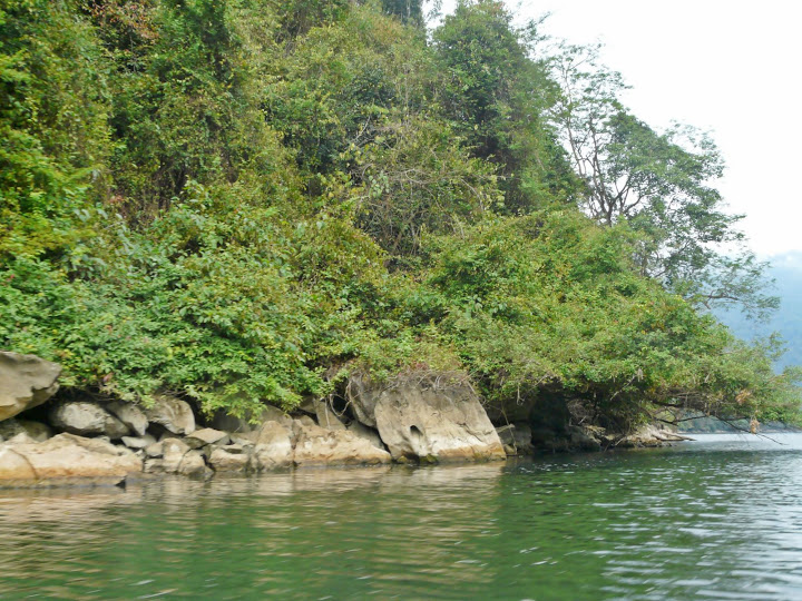 P1050551.JPG