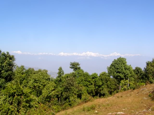 PB060879.jpg