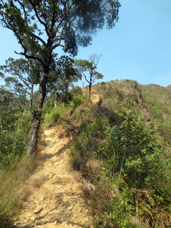 IMG_2933_zps840a8b66.png