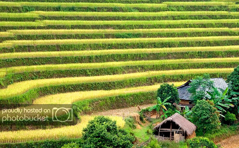 HaGiang2009.jpg