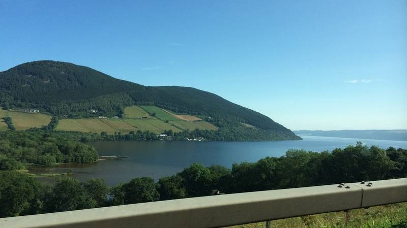 IMG_4944.jpg